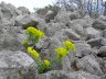 Martyan Nature Preserve3.JPG - 